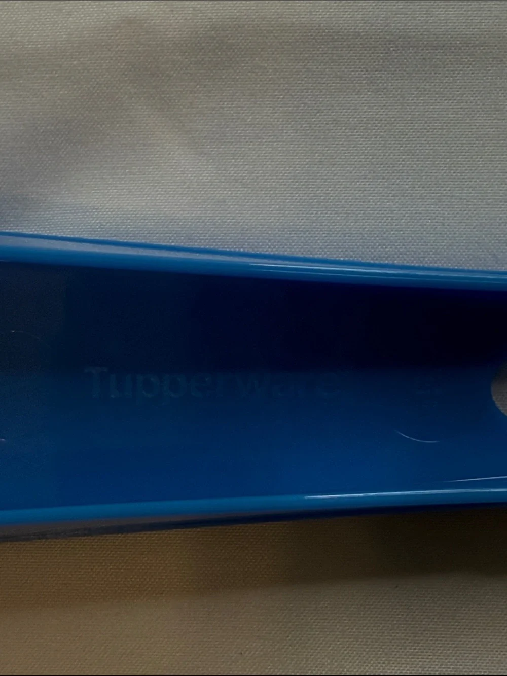 Tupperware sturdy blue